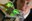 04df82a4-b6d2-4e07-99ae-4f95bf1c8d53.jpeg